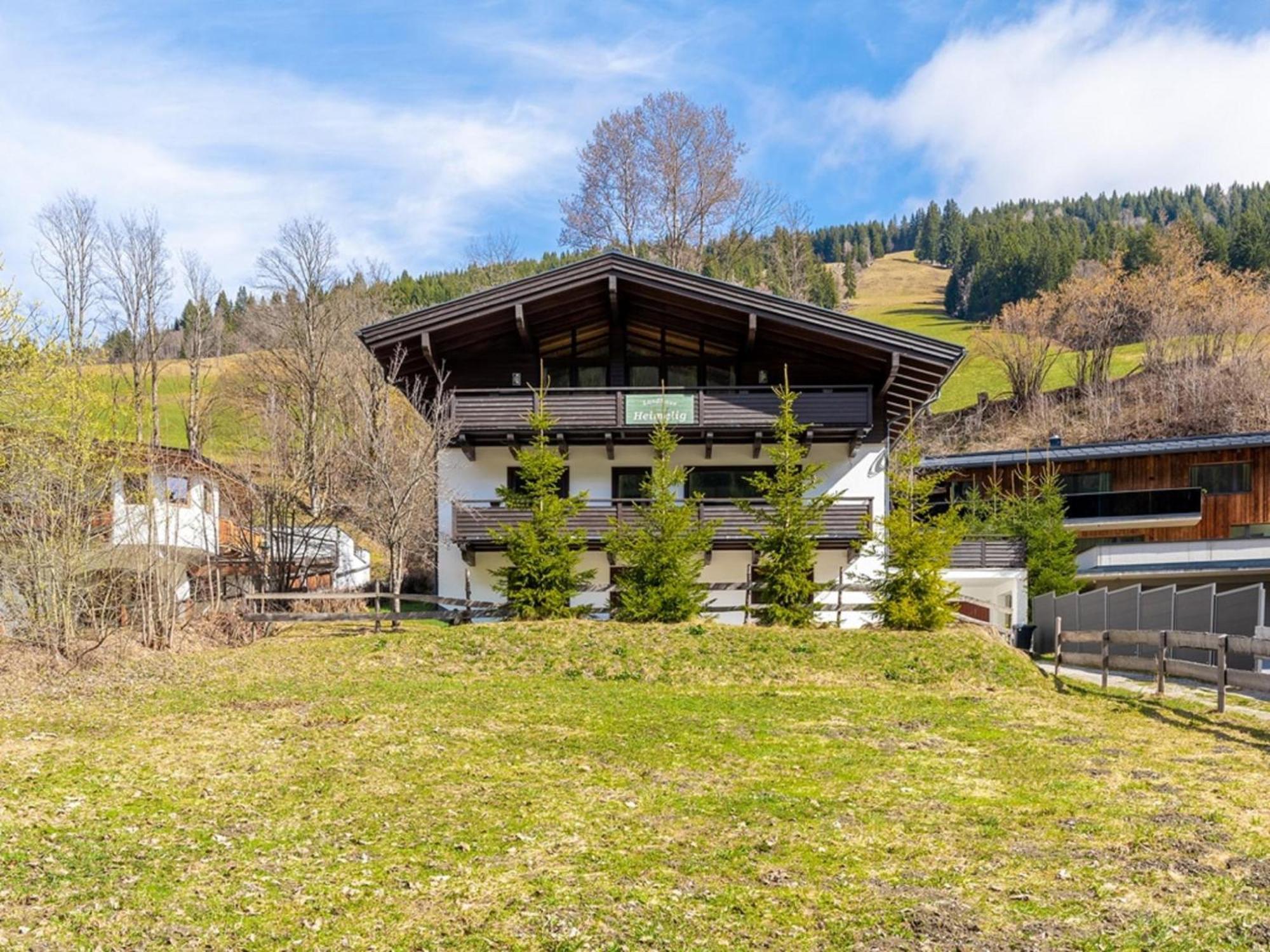 Chalet Heimelig M ซาลบาคฮินเทอร์เกลมม์ ภายนอก รูปภาพ